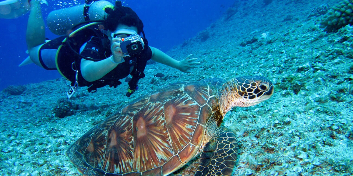 Et debitis illo iure expedita deserunt