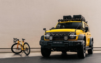 Great Wall Motor's Vanishing Profit Gap Raises Questions Over Its EV Transition